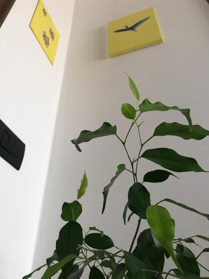 B&B Dal Giotu Gravellona Lomellina Dış mekan fotoğraf